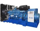 ТСС АД-600С-Т400-2РМ9 (12) с АВР